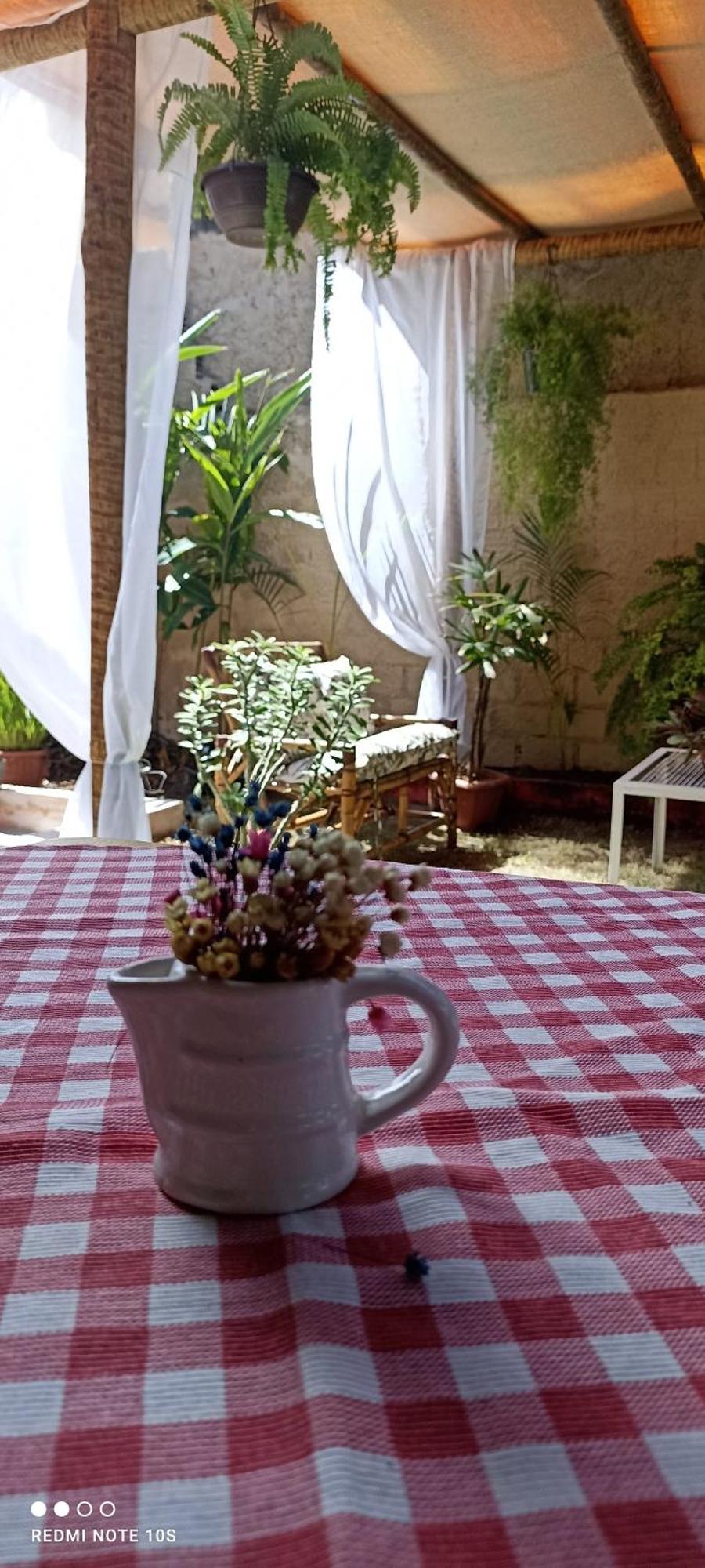 Pousada Ray Sol - Centro Arraial D Ajuda 塞古罗港 外观 照片